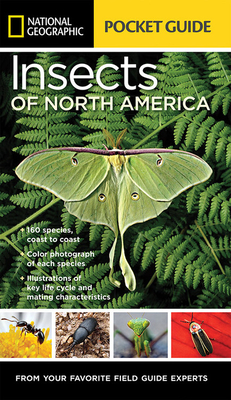 National Geographic Pocket Guide to Insects of North America - Evans, Arthur V, Dr.