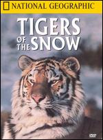 National Geographic: Tigers of the Snow - 