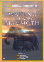 National Geographic: Waking the Baby Mammoth