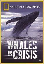 National Geographic: Whales in Crisis