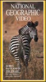 National Geographic: Zebra - Patterns in the Grass