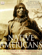 Native Americans: A History in Pictures - Hirschfelder, Arlene B, and Wright, Beverly (Foreword by)