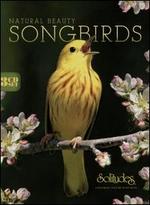 Natural Beauty Songbirds