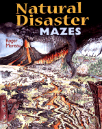 Natural Disaster Mazes
