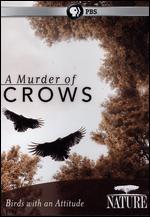 Nature: A Murder of Crows