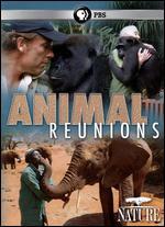 Nature: Animal Reunions
