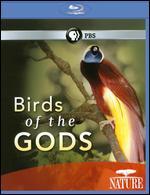 Nature: Birds of the Gods [Blu-ray]