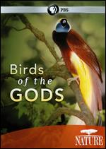 Nature: Birds of the Gods - Harvey Jones