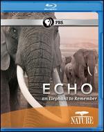 Nature: Echo - An Elephant to Remember [Blu-ray]