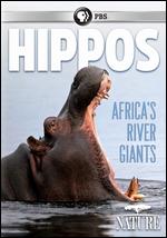 Nature: Hippos - Africa's River Giants - Brad Bestelink