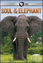 Nature: Soul of the Elephant - 