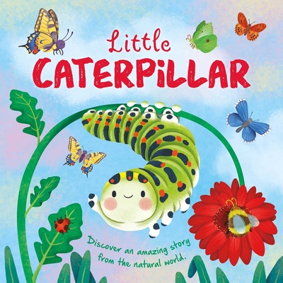 Nature Stories: Little Caterpillar: Padded Board Book - Igloobooks