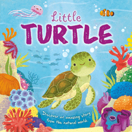 Nature Stories: Little Turtle-Discover an Amazing Story from the Natural World: Padded Board Book