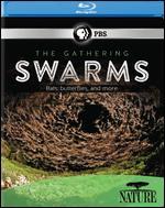 Nature: The Gathering Swarms [Blu-ray] - 