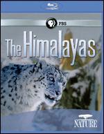 Nature: The Himalayas [Blu-ray]