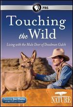 Nature: Touching the Wild - Living with the Mule Deer of Deadman Gulch - 