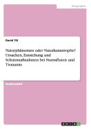 Naturph?nomen oder Naturkatastrophe? Ursachen, Entstehung und Schutzma?nahmen bei Sturmfluten und Tsunamis