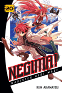Negima!, Volume 20: Magister Negi Magi