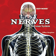 Nerves: The Nervous System