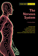 Nervous Sys (Your Body)