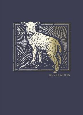 Net Abide Bible Journal - Revelation, Paperback, Comfort Print: Holy Bible - Taylor University Center for Scripture Engagement (Editor), and Thomas Nelson