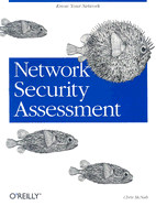 Network Security Assessment