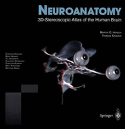 Neuroanatomy: 3D-Stereoscopic Atlas of the Human Brain