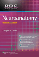 Neuroanatomy