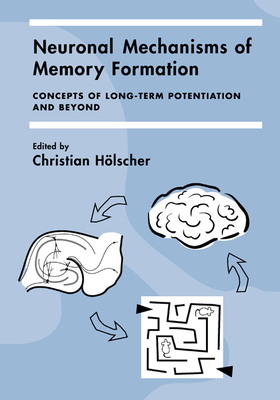 Neuronal Mechanisms of Memory Formation: Concepts of Long-Term Potentiation and Beyond - Holscher, Christian (Editor), and Christian, Holscher (Editor), and H Lscher, Christian (Editor)