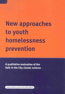 New Approaches to Youth Homelessness Prevention: A Qualitative Evaluation of the Safe in the City Cluster Schemes