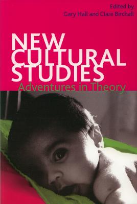 New Cultural Studies: Adventures in Theory - Hall, Gary (Editor), and Birchall, Clare (Editor)