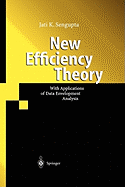 New Efficiency Theory: With Applications of Data Envelopment Analysis
