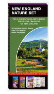 New England Nature Set: Field Guides to Wildlife, Birds, Trees & Wildflowers of New England