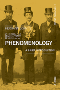 New Phenomenology: A Brief Introduction