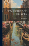 New Picture of Brussels