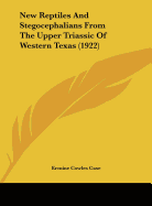 New Reptiles And Stegocephalians From The Upper Triassic Of Western Texas (1922)