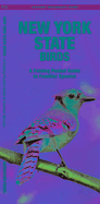New York Birds