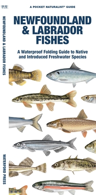 Newfoundland & Labrador Fishes: A Waterproof Folding Guide to Native and Introduced Freshwater Species - Morris, Matthew, and Waterford Press