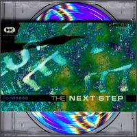 Next Step: Electronica - Various Artists