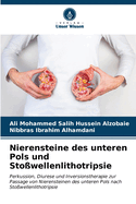 Nierensteine des unteren Pols und Sto?wellenlithotripsie