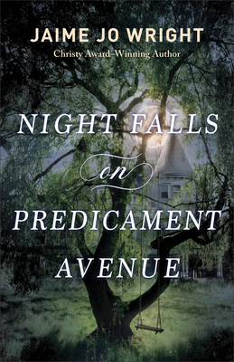Night Falls on Predicament Avenue - Wright, Jaime Jo