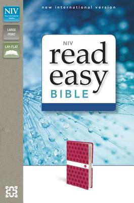 NIV Readeasy Bible - Zondervan
