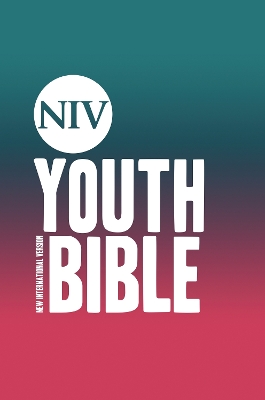 NIV Soul Survivor Youth Bible Hardback - Version, New International