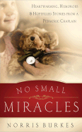 No Small Miracles: Heartwarming, Humorous * Hopefilled Stories from a Pediatric Chaplain