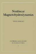 Nonlinear Magnetohydrodynamics
