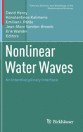 Nonlinear Water Waves: An Interdisciplinary Interface