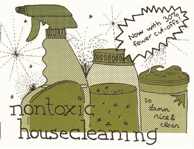 Nontoxic Housecleaning - Briggs, Raleigh