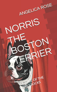 Norris the Boston Terrier: The Case of the Stinky Socks