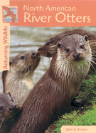 North American River Otters