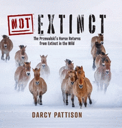 NOT Extinct: The Przewalski's Horse Returns from Extinct in the Wild
